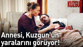 Annesi Kuzgun'un Yaralarını Görüyor! | Kuzgun