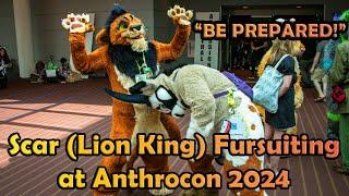 Scar at Anthrocon 2024 - Lion King Fursuiting!