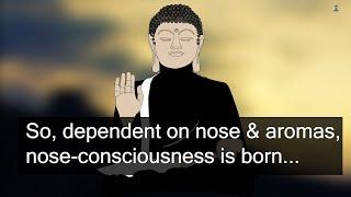 Beyond The Six Senses Of A Buddha - Pure Awareness (Binaural Beats)