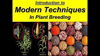 Modern Techniques In Plant Breeding | Introduction