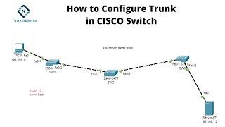 How to Configure Trunk in Cisco Switch | Networkforyou | CCNA 200-301