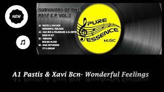 Pastis & Xavi Bcn- Wonderful feelings