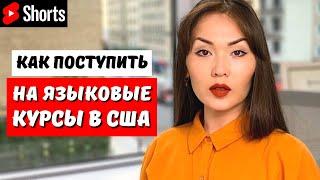 Как поступить на языковые курсы в США? #shorts