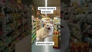 #юморвидео #приколы #подписка #ютуб #лайк #популярное