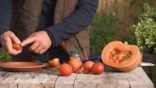 Comment récolter, conserver, récupérer puis planter des graines de tomate et de courge ?