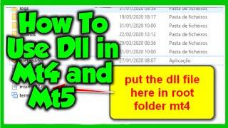 How To Use Dll in Mt4 and Mt5 | How to Use Fix folder And Replace Terminal