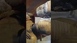 Well-Preserved Egyptian Mummy of a Rich Man From  the Ptolemaic Period