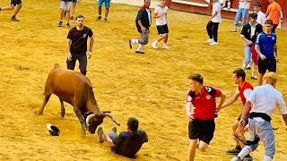 Best Scene of Bull Fight Vitoria Gasteiz Spain 2024 | Vaquillas Vitoria Gasteiz España 2024