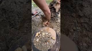 gold stuck in stone mortar!!! golden treasure found!!! 