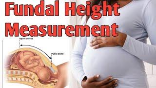 Fundal Height Measurement