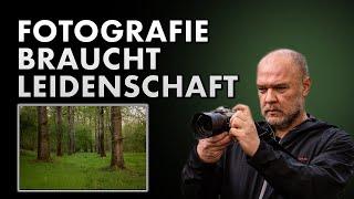 FOTOGRAFIE im Wald braucht LEIDENSCHAFT und TURBULENTES Wetter