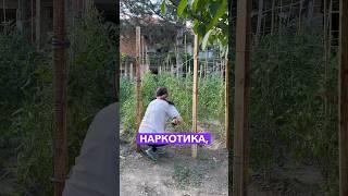 ЗАВИСИМ СИ и дори не го осъзнаваш   цялото видео в Instagram #животнасело #семейство #майчинство