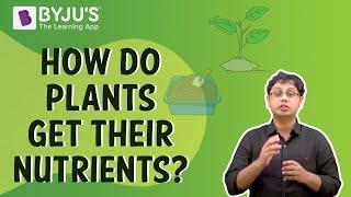 How Do Plants Get Their Nutrients? I Class 7 I Learn With BYJU'S