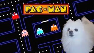 Pacman em cachorrês | NOSTALGIA