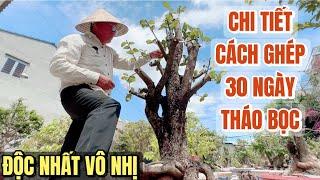 Cao thủ Út Đực hướng dẫn chi tiết cách ghép độc nhất vô nhị 30 ngày mới tháo bọc tứ quý ghép Thủ Đức