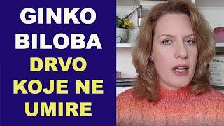 GINKO BILOBA - drvo koje ne zna da umre - (SVE O GINKU što treba da znate)/dr Bojana Mandić