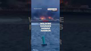 Wildfire ravages Hawaii harbor