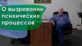 О вызревании психических процессов