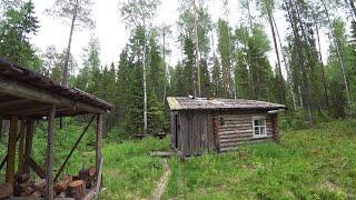 Здравствуй изба. Приехал в красочно зелёную тайгу. 3 серия. /Поход ФОТОЛОВУШКА Июнь 2022/