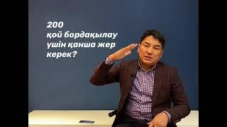 200 ҚОЙ БОРДАҚЫЛАУ ҮШІН ҚАНША ЖЕР КЕРЕК?