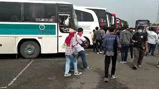 GOKIL NIH MANUSIA SEGINI BANYAK SUKA BIS SEMUA.. JAMNAS BISMANIA 14..