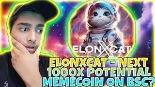 ElonXCat || Don't Miss This Opportunity - Why You Need to Buy $EXC? 1000X Potential!