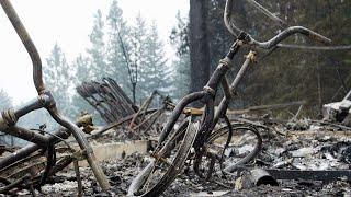 At least 50 structures destroyed by wildfires in West Kelowna: B.C. officials confirm