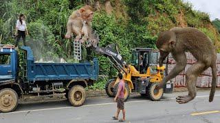 the girl and the driver Drive the ben truck down to the city to build the old lady's house.