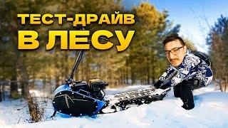 Тест-драйв мотоснегоката #draxter extreme 20 л.с. в густом лесу