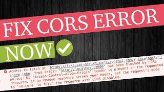 CORS Error & Solutions In A Nutshell [Cross Origin Resource Sharing]