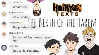 The Birth of The Harem (Part 1) | Haikyuu Texts