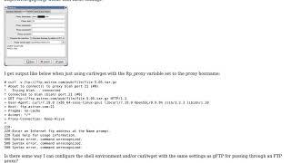 How do I setup curl / wget with FTP proxy?