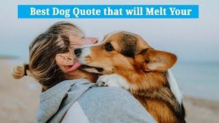 Best Dog quotes | That Will Melt Your Heart(3rd part)