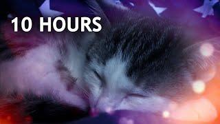Make Your Cat Sleep Within 5 Minutes (CAT MUSIC With Cat purring sounds)   10 HOURS!!!