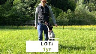 Miha Jerot & Loti - Obedience @ 1yr