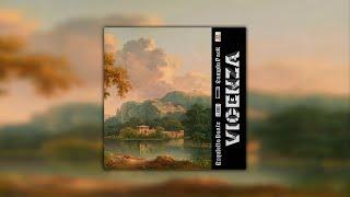 [FREE] LOOP KIT / SAMPLE PACK - "VICENZA" (Cubeatz, Spanish Guitar, Pvlace Type Samples)