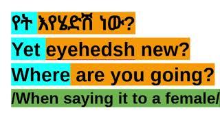 How To Say "Where are you going?" in Amharic/Amharic Phrases For Beginners/አማርኛ-እንግሊዝኛ/#amharic