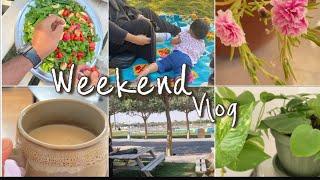 #6 Weekend Vlog | මගේ සති අන්තය |  Picnic with family | aesthetic | karaoke night |VLOG 