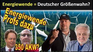 "Energiewende ist deutscher Größenwahn - Wie seit Stalingrad nicht mehr!" Henryk M.Broder