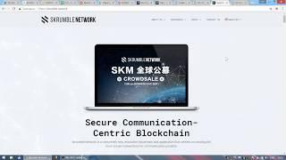 Обзор ICO Skrumble Network - мессенджер без хайпа