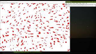 Analyze particles using FIJI Image-J