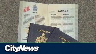 Whatever happened to the plan for online passport renewal in Canada?