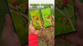 Vivo X200 Pro vs Samsung S23 Ultra Zoom Test #vivox200pro #s23ultra #trending #shotrs