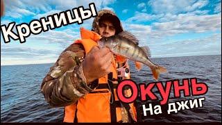 Креницы. Ловля окуня на Ладоге на Джиг. Ловля окуня в сентябре.