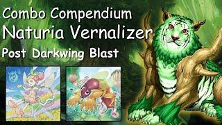 Combo Compendium: Naturia Vernalizer - Yu-Gi-Oh! Post Darkwing Blast