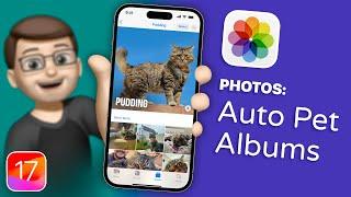 How to Create Pet Albums and Auto-Tag Pets in Photos on iOS 17