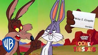 Looney Tuesdays | 'Genius' | Looney Tunes | WB Kids