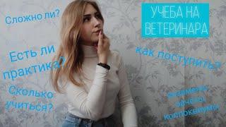 Учеба на ветеринара/ОТВЕТЫ НА ВОПРОСЫ