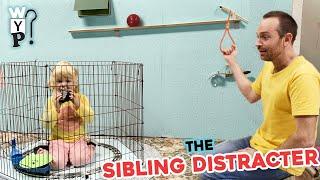 The Sibling Distractor | Joseph's Machines