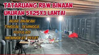 TATARUANG RBW UKURAN 5X25X3 LANTAI AGAR ANAKAN TINGGAL HINGGA POPULASI MENINGKAT PESAT